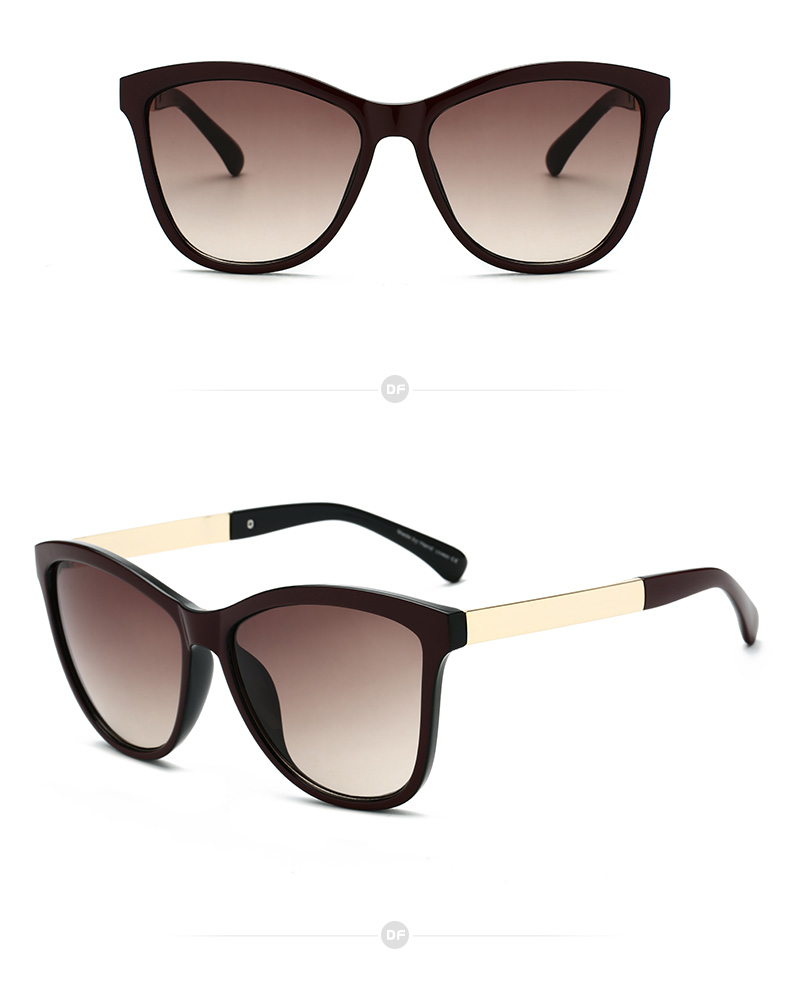 Women Fashion Sunglasses - Square Cat Eye Sunglasses - fashion eyewear wholesale