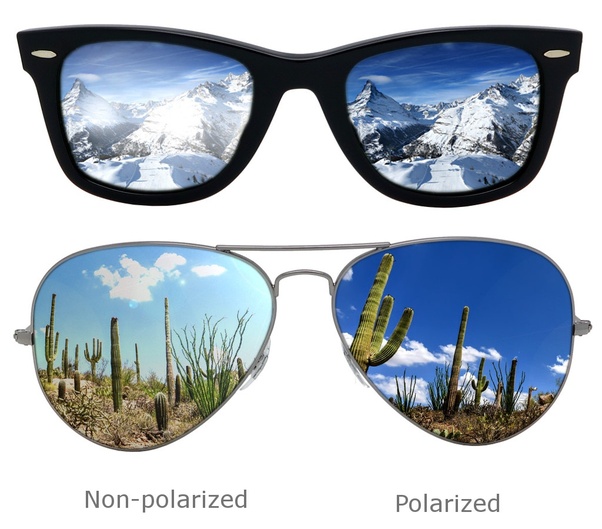 wayfarer polarized vs non polarized